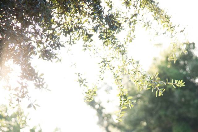 Kaci Layne Photography