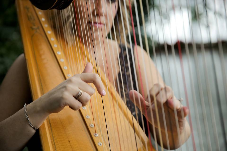 Monica Smith - Harpist