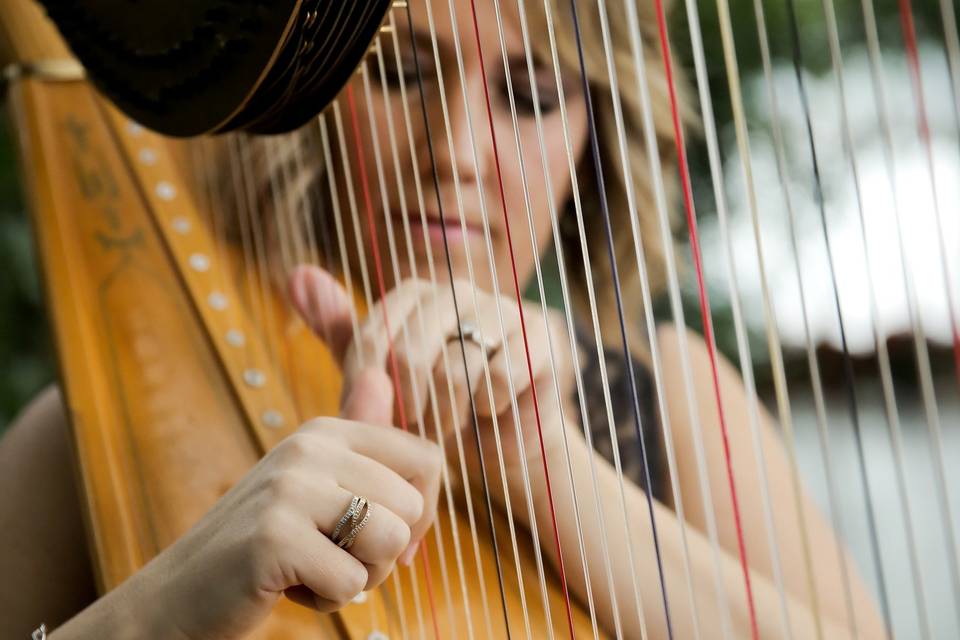 Monica Smith - Harpist