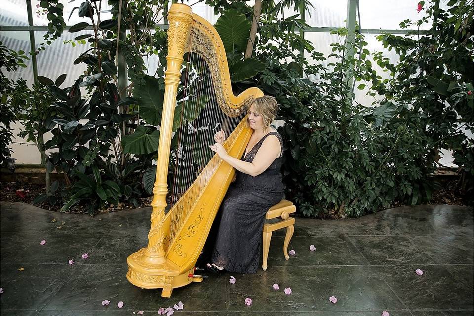 Monica Smith - Harpist
