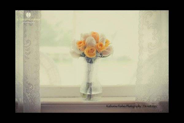 Katherine Forbes Photography