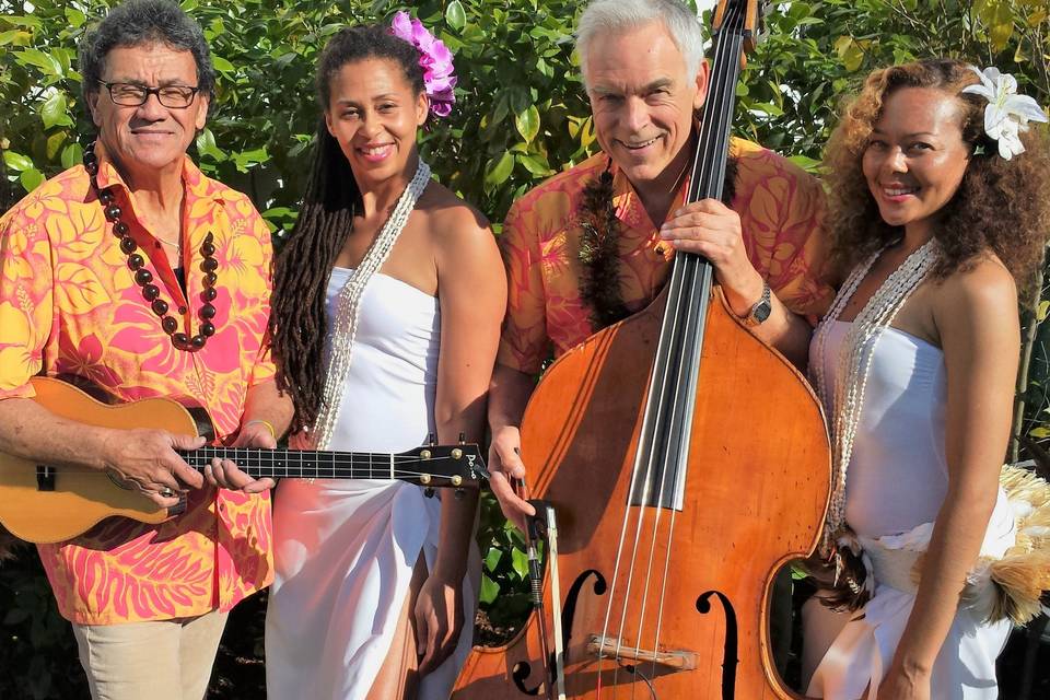 Hawaiian Music & Dance Quartet