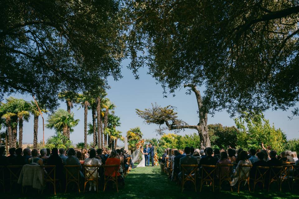 Wedding9