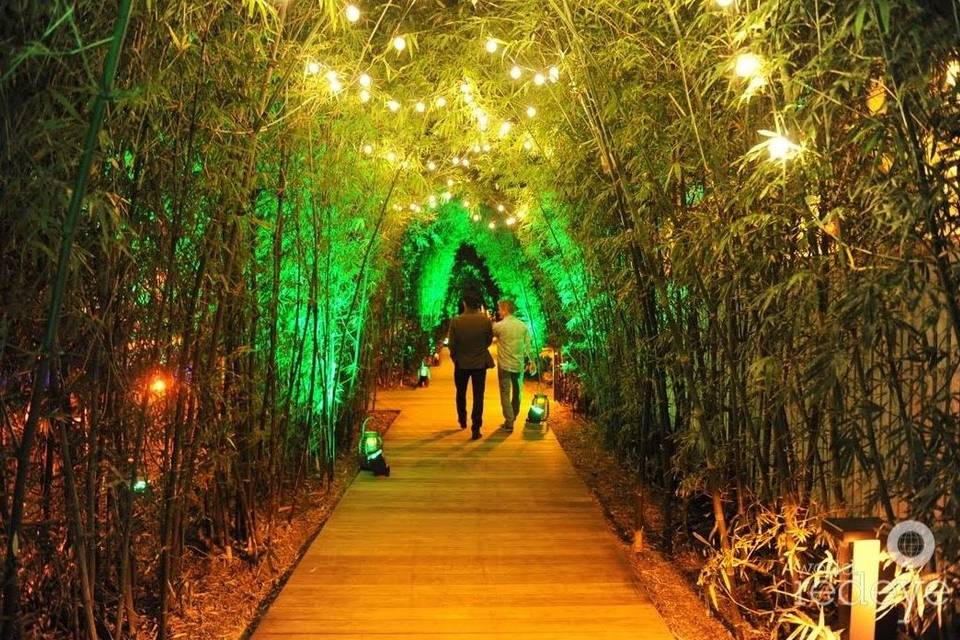 Bamboo Walkway