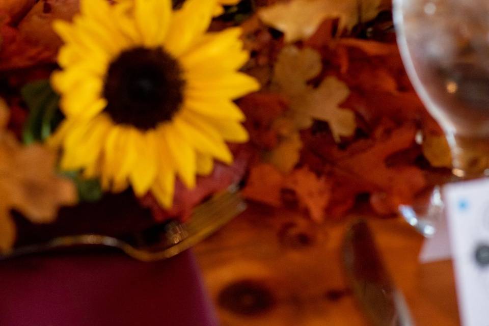 Sunflowers, pumpkins, leaves