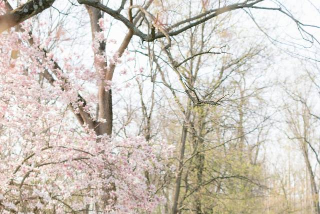 Spring