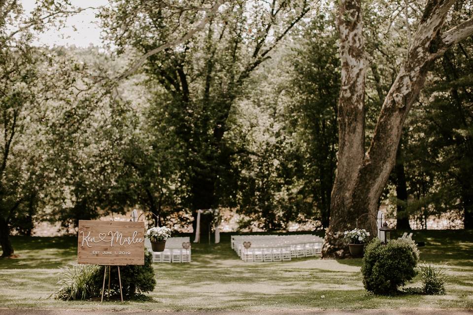 Ceremony at the Sycamore Tree