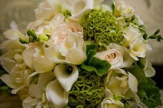 The Pretty Paper Petal - Flowers - Peninsula, OH - WeddingWire