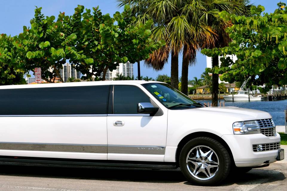 18 passenger navigator limousine