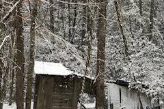 Authentic moonshine shack