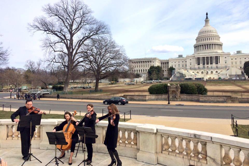 Cherry Blossom String Quartet