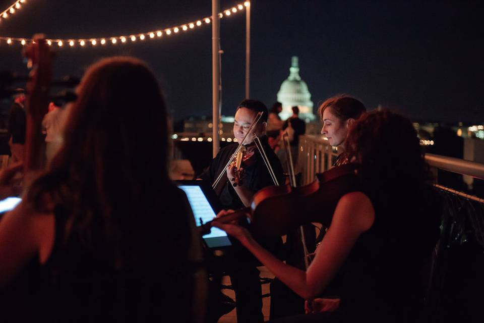 Cherry Blossom String Quartet