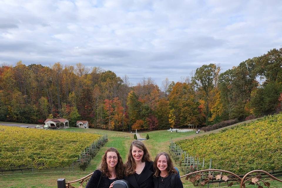 Potomac Point Winery
