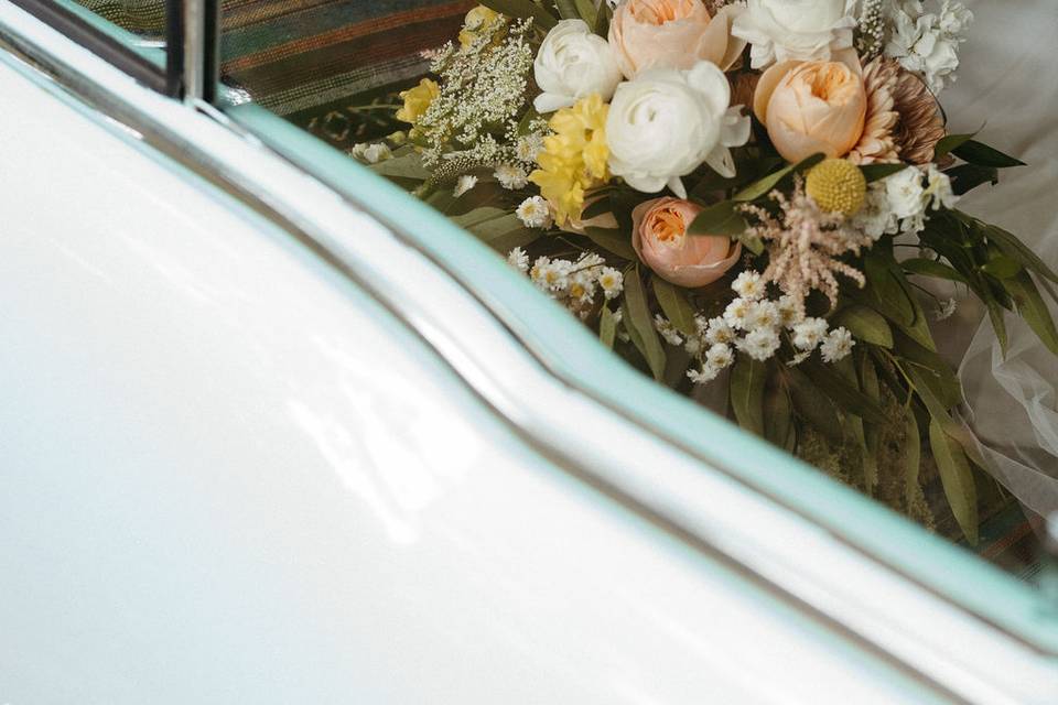 Melissaaldertonphotography.com