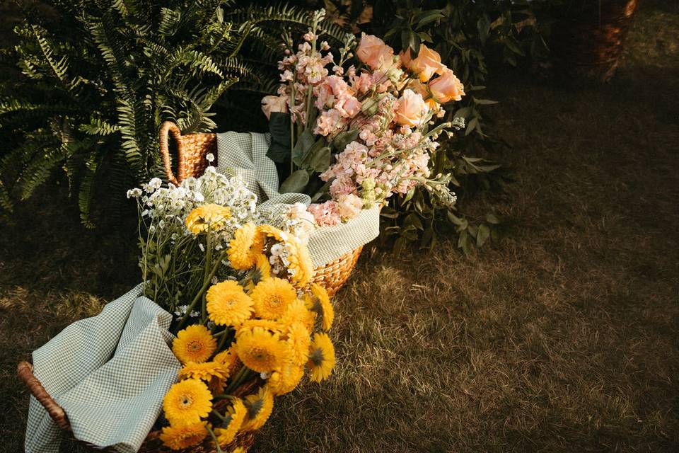 Melissaaldertonphotography.com