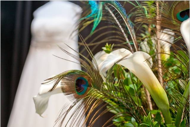 Accent Photographics