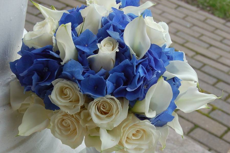 White and blue roses