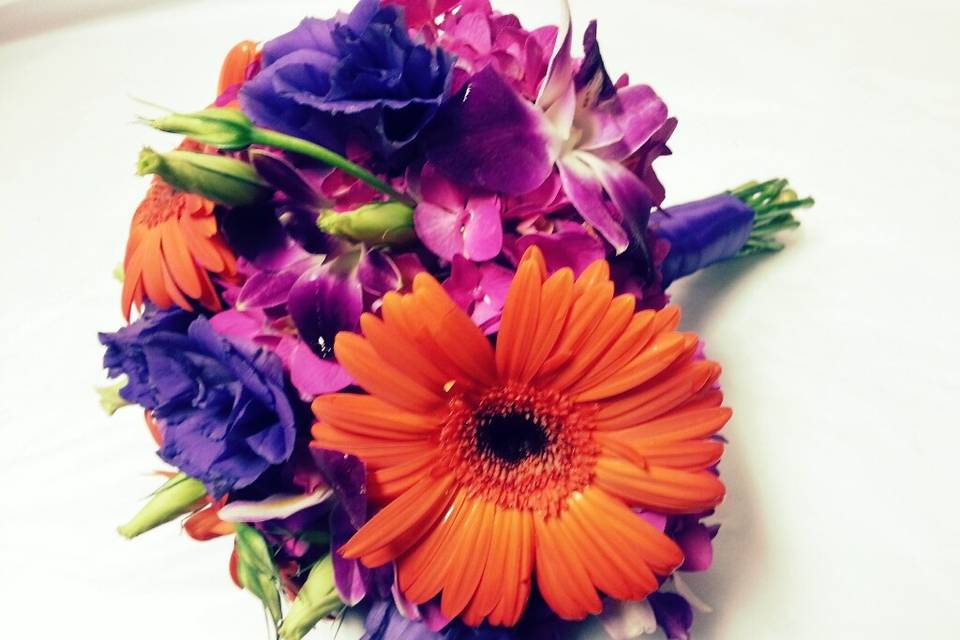 Orange and purples