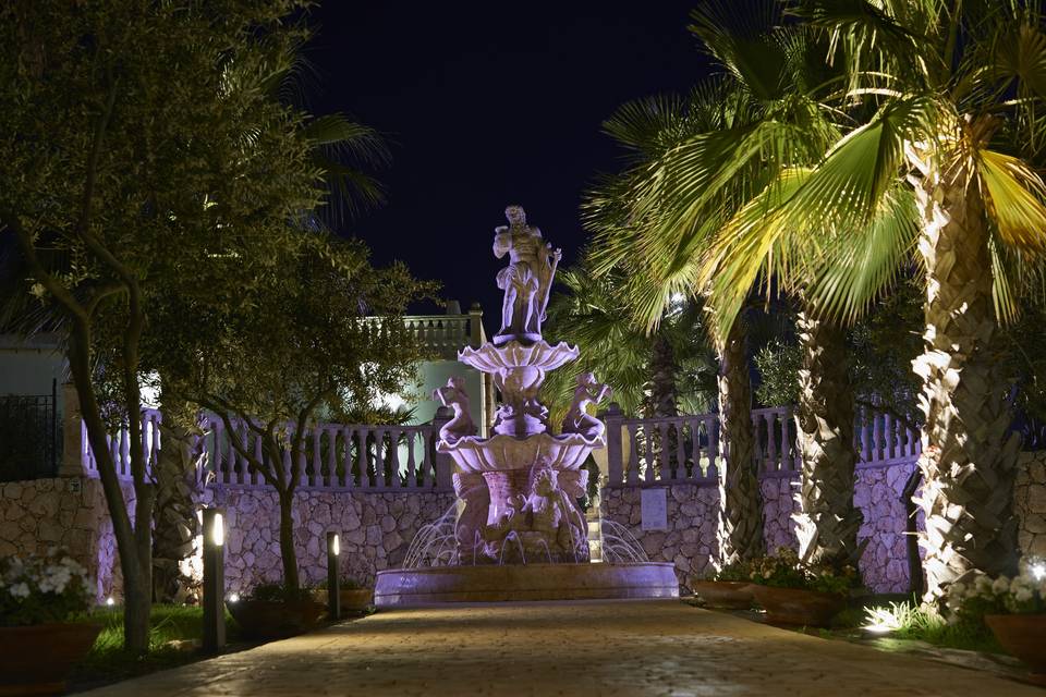 Garden in the pool area