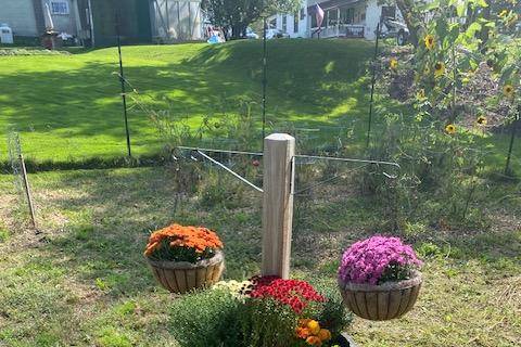 Fall flower wedding