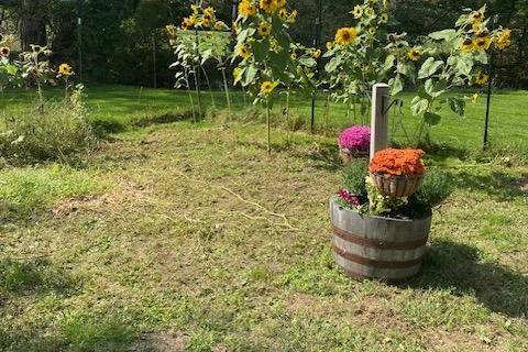 Garden wedding?