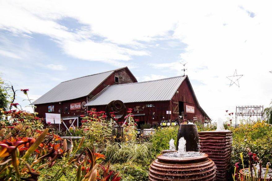 Farm & Rustic Venue