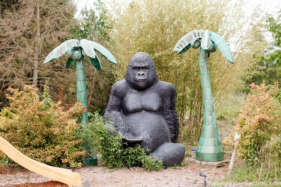 Tor, the Gorilla