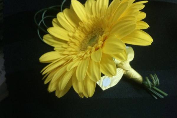 Gerbera daisy with polka dot ribbon