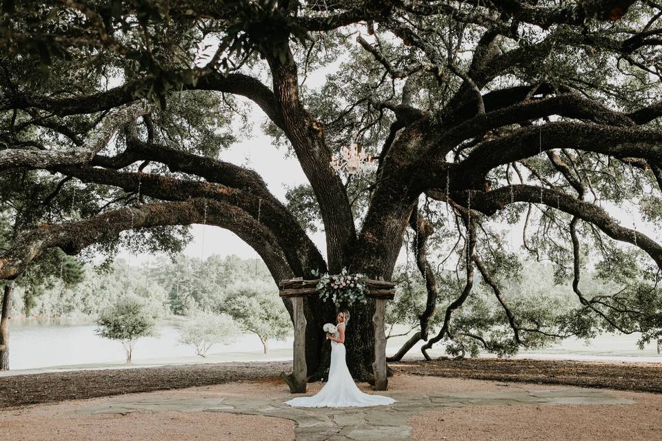 Ceremonial Tree