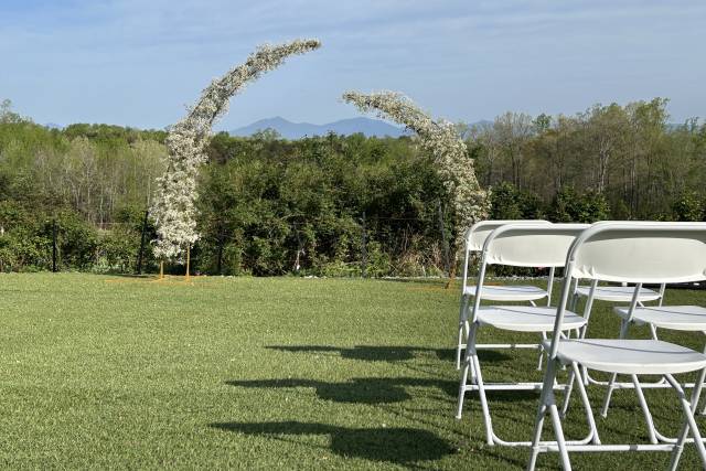 The Blossom Farm view
