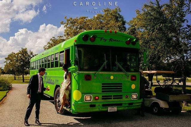 Green bus