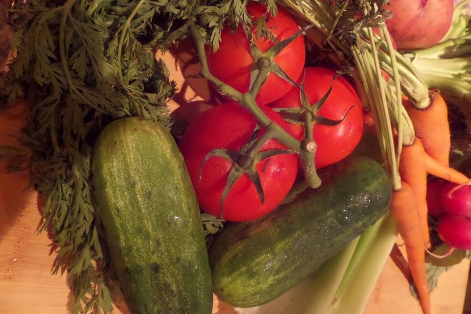 Organic garden produce.