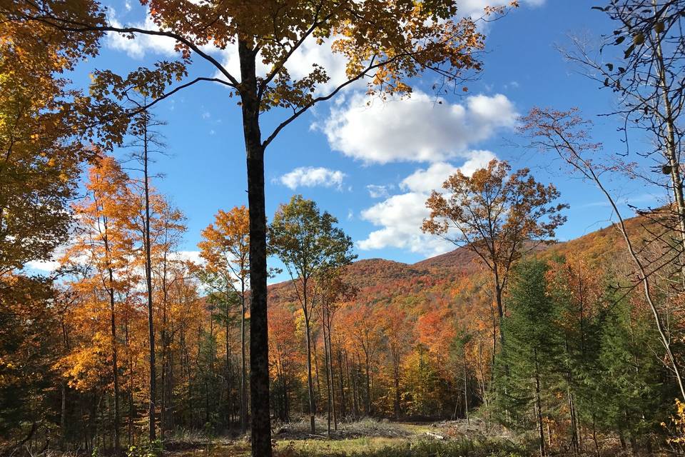 Fall Weddings are spectacular!