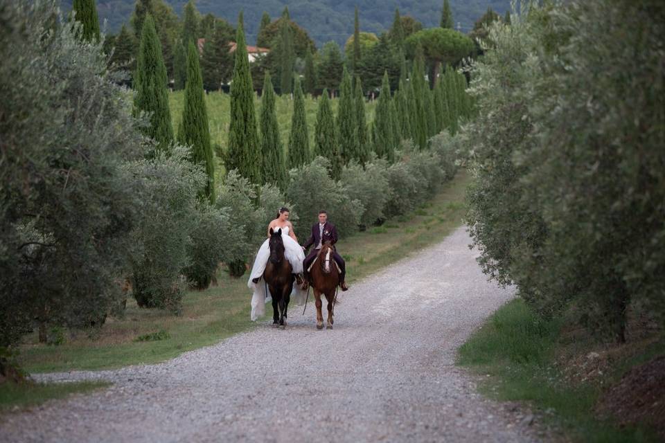 FATTORIA PAGNANA SPA