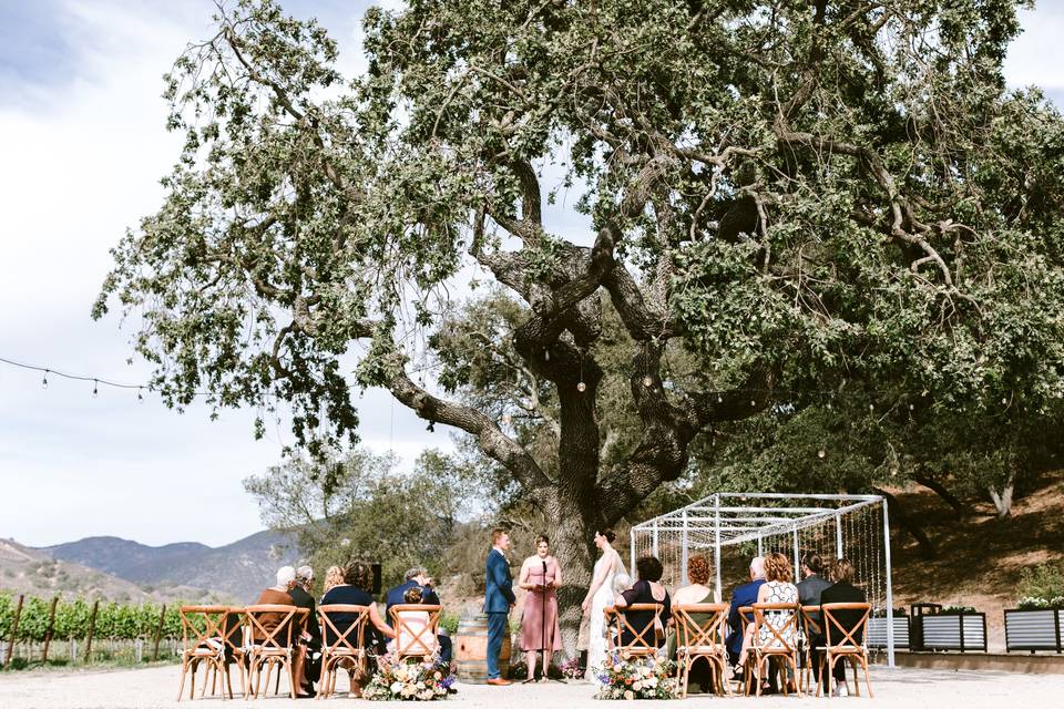 Ceremony at the Oak Tree