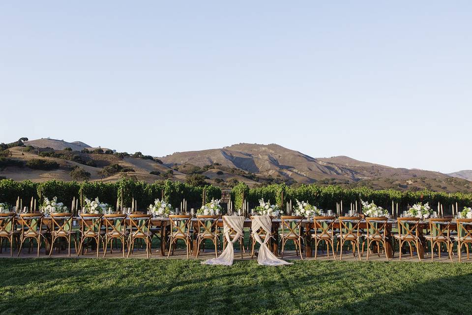 Zaca Mesa Winery