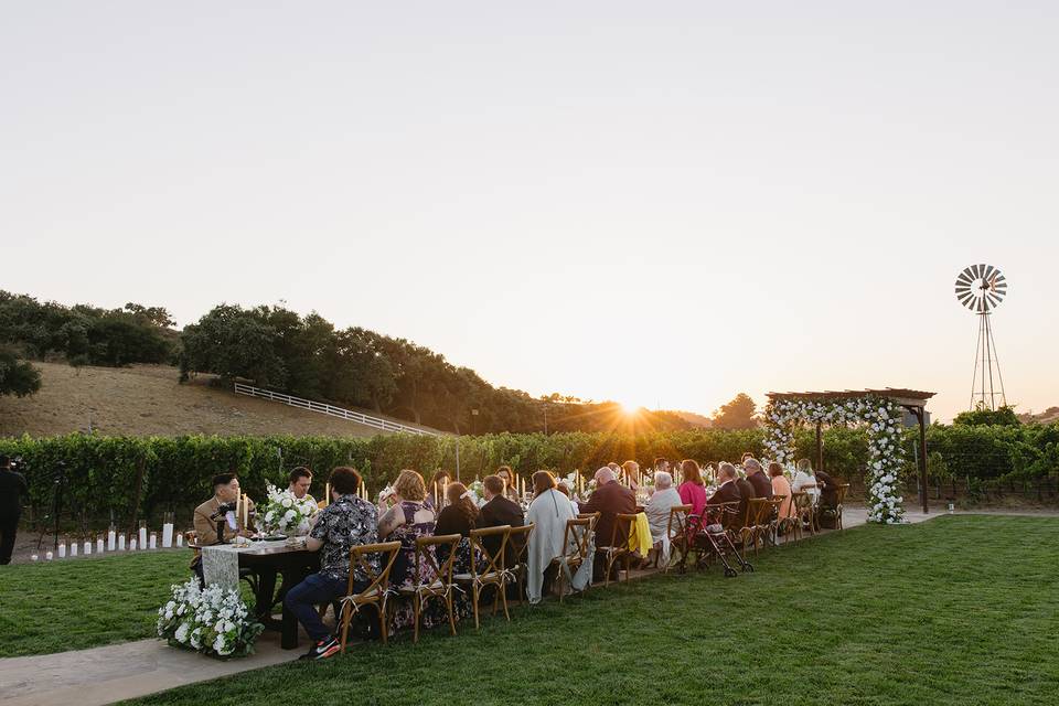 Vineyard reception