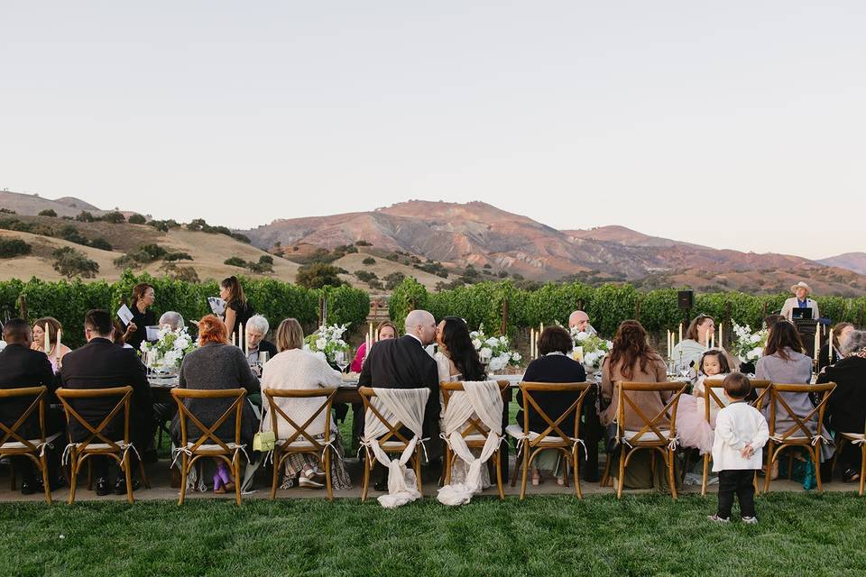 Vineyard reception
