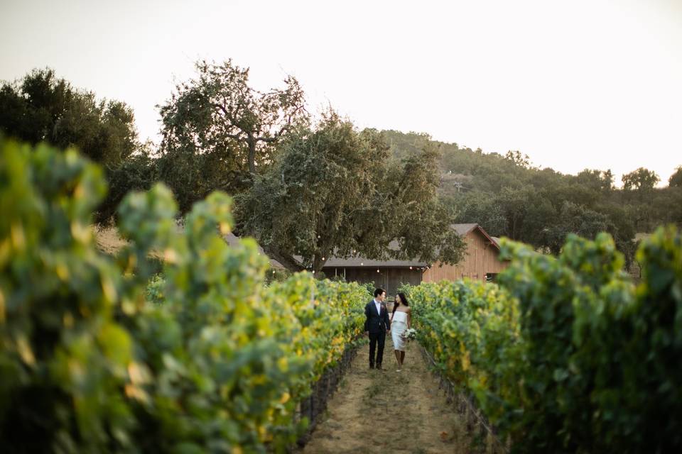 Couple in the Vineyard