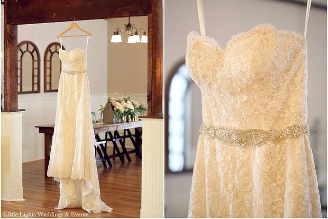 Nature's Grace Photography