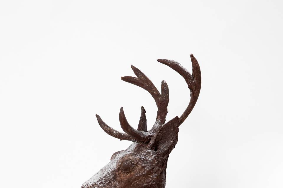 Stag in chocolate