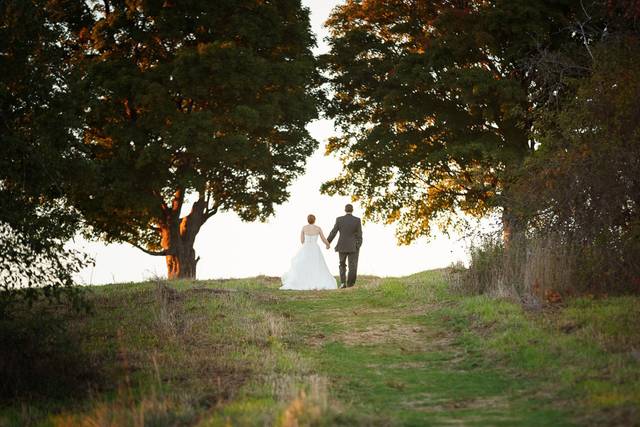 Greg Moss Photography