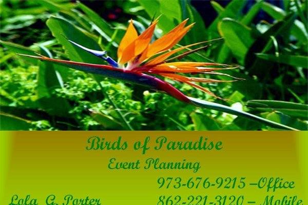 Birds of Paradise Event Planning