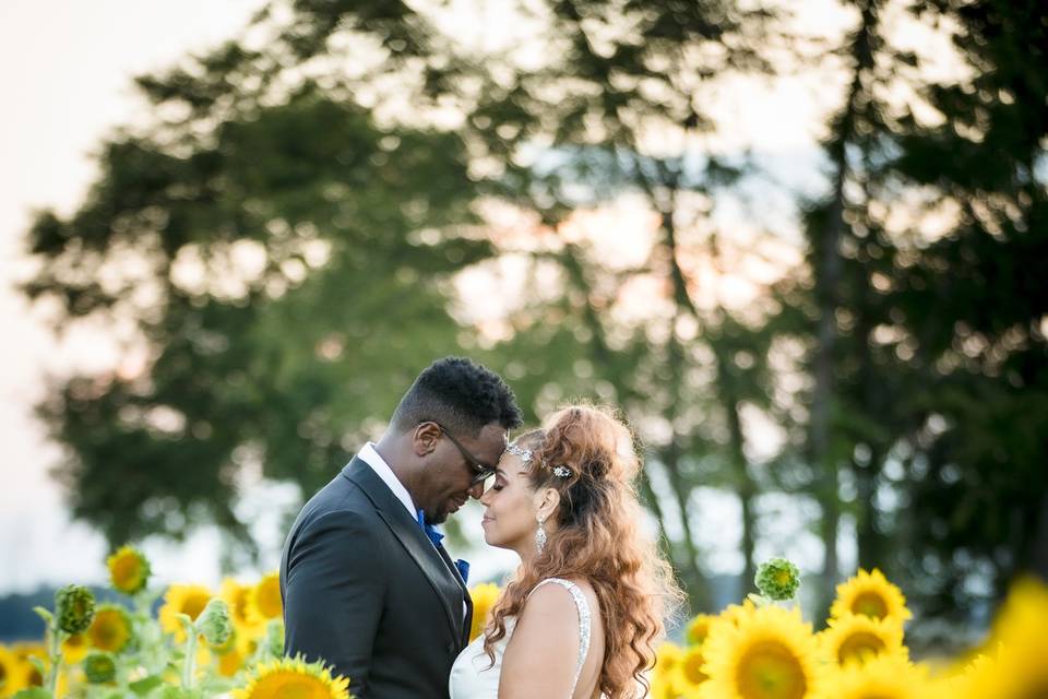Wedding Photos