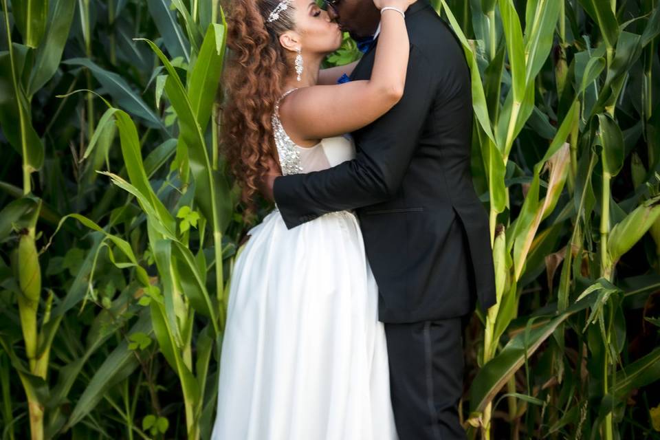 Wedding Photos