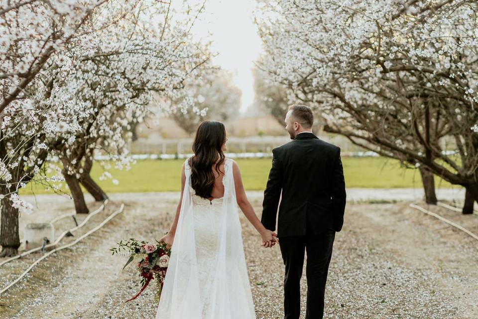 Hand in Hand in the Orchard