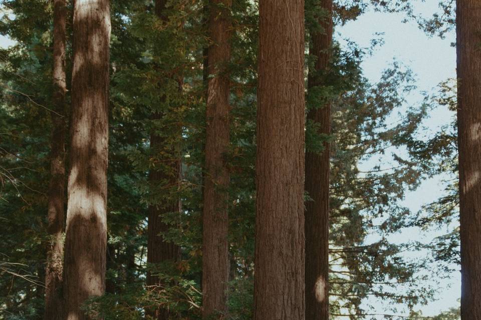 Woodside