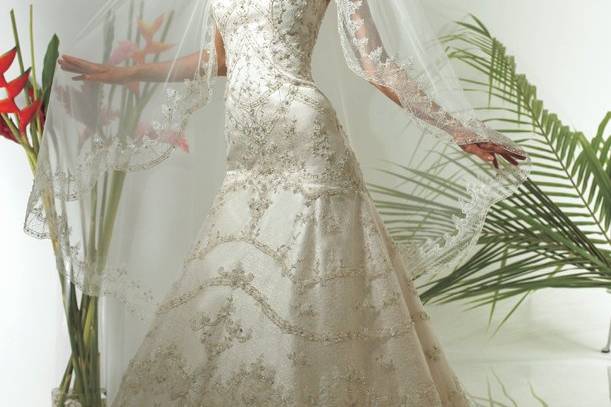 Style E1901
Re-embroidered lace is artfully placed over European net on this A-line gown. Lace is accented with Swarovski crystals and rhinestones. Strapless neckline finished with zipper closure and optional full-length matching lace edged veil.