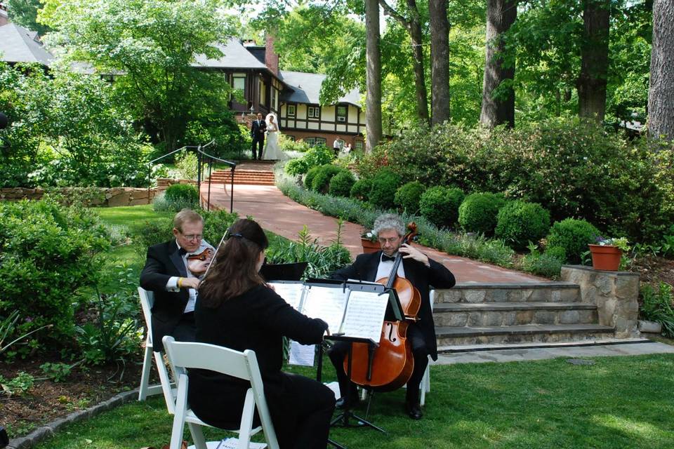 A garden performance