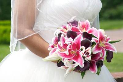 Tracey Hart Photography